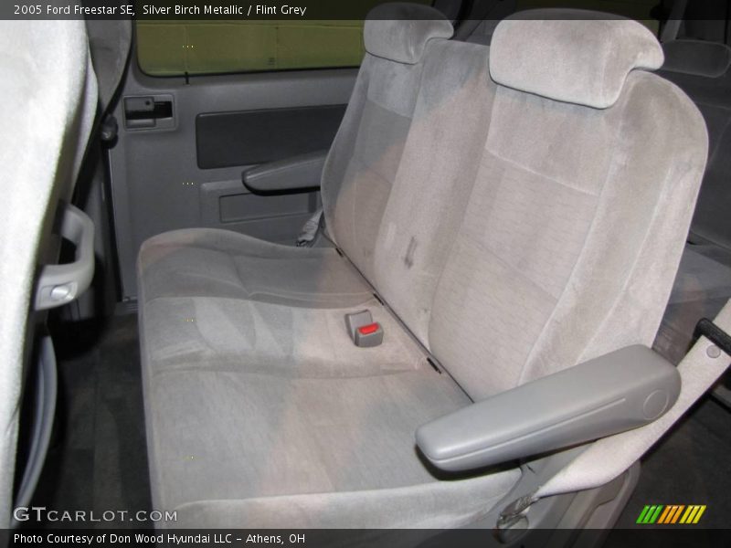 Silver Birch Metallic / Flint Grey 2005 Ford Freestar SE