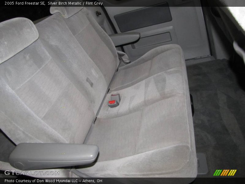 Silver Birch Metallic / Flint Grey 2005 Ford Freestar SE