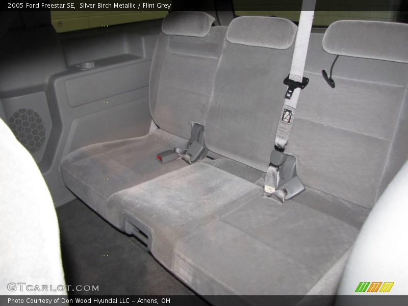 Silver Birch Metallic / Flint Grey 2005 Ford Freestar SE