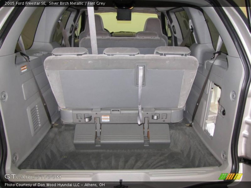 Silver Birch Metallic / Flint Grey 2005 Ford Freestar SE