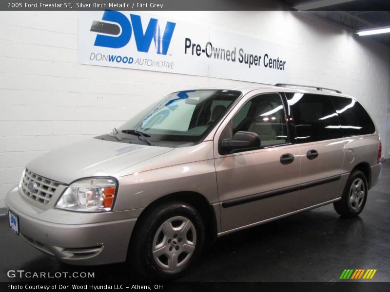 Silver Birch Metallic / Flint Grey 2005 Ford Freestar SE