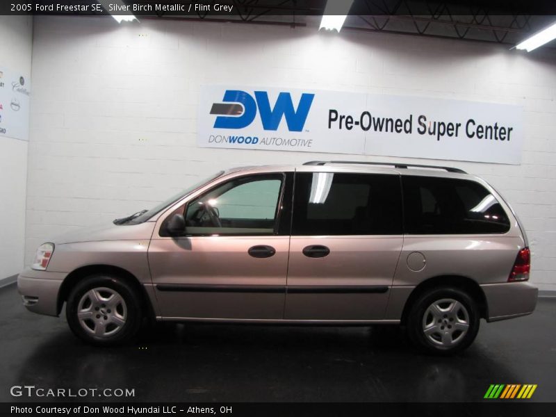 Silver Birch Metallic / Flint Grey 2005 Ford Freestar SE