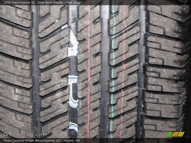 Silver Birch Metallic / Flint Grey 2005 Ford Freestar SE