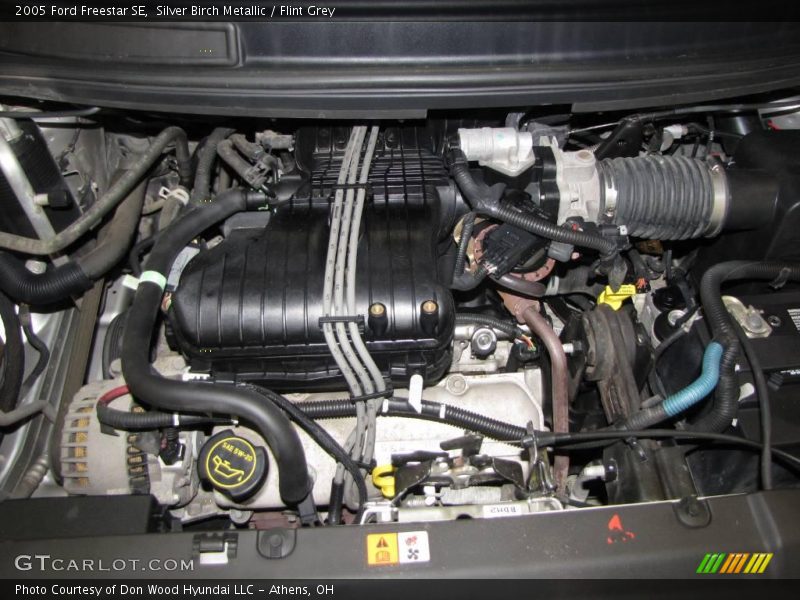 Silver Birch Metallic / Flint Grey 2005 Ford Freestar SE