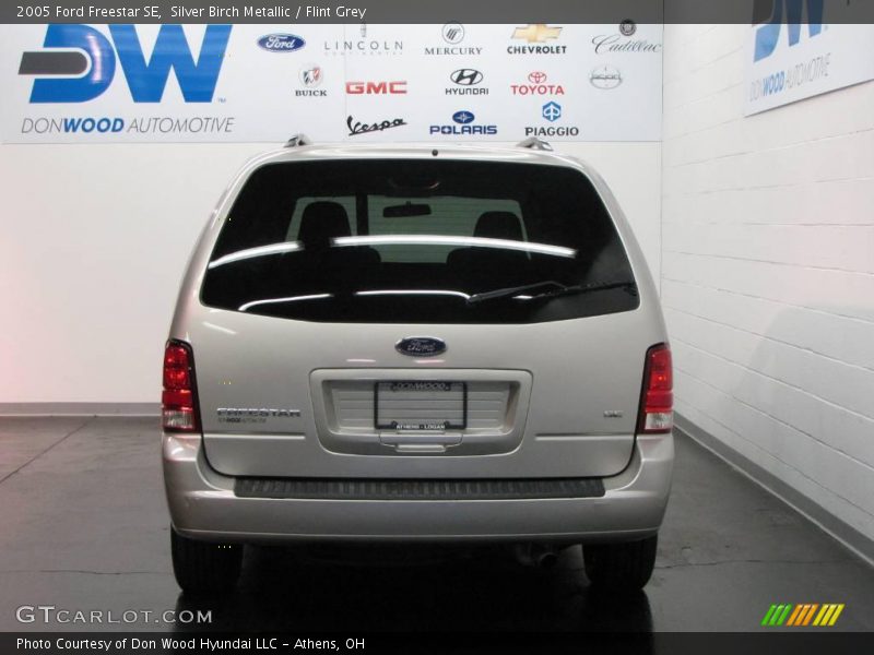 Silver Birch Metallic / Flint Grey 2005 Ford Freestar SE