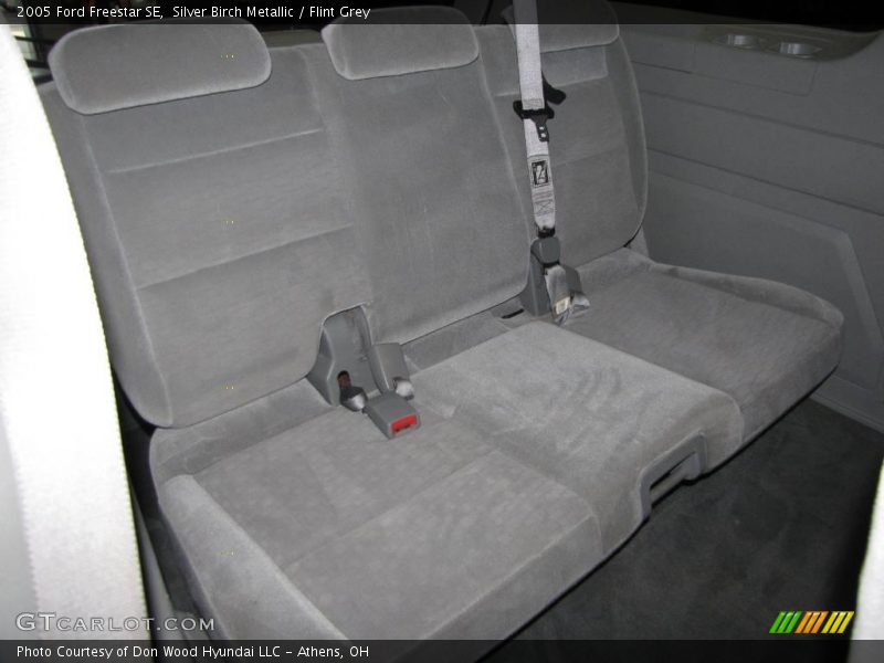 Silver Birch Metallic / Flint Grey 2005 Ford Freestar SE