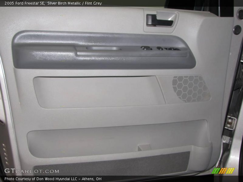Silver Birch Metallic / Flint Grey 2005 Ford Freestar SE