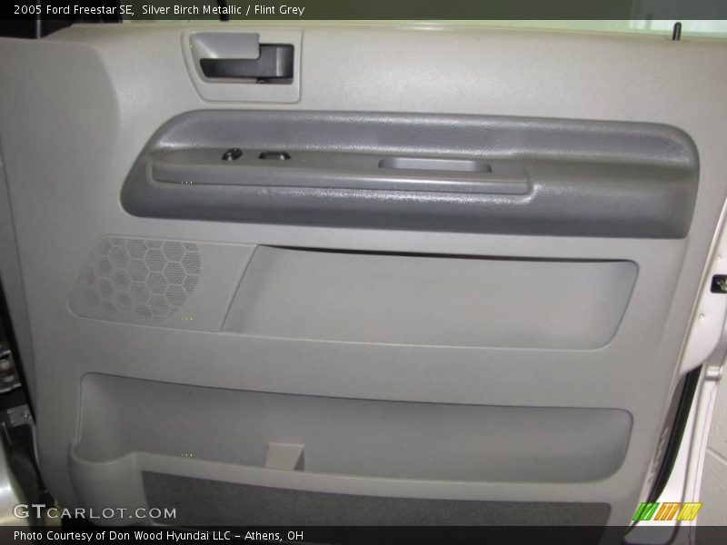 Silver Birch Metallic / Flint Grey 2005 Ford Freestar SE