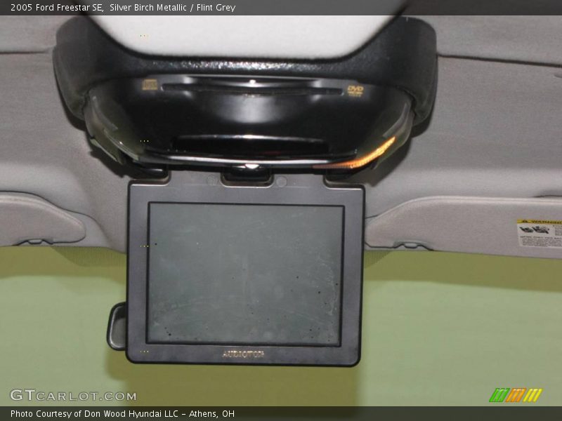Silver Birch Metallic / Flint Grey 2005 Ford Freestar SE