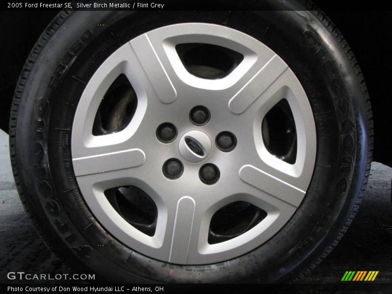 Silver Birch Metallic / Flint Grey 2005 Ford Freestar SE