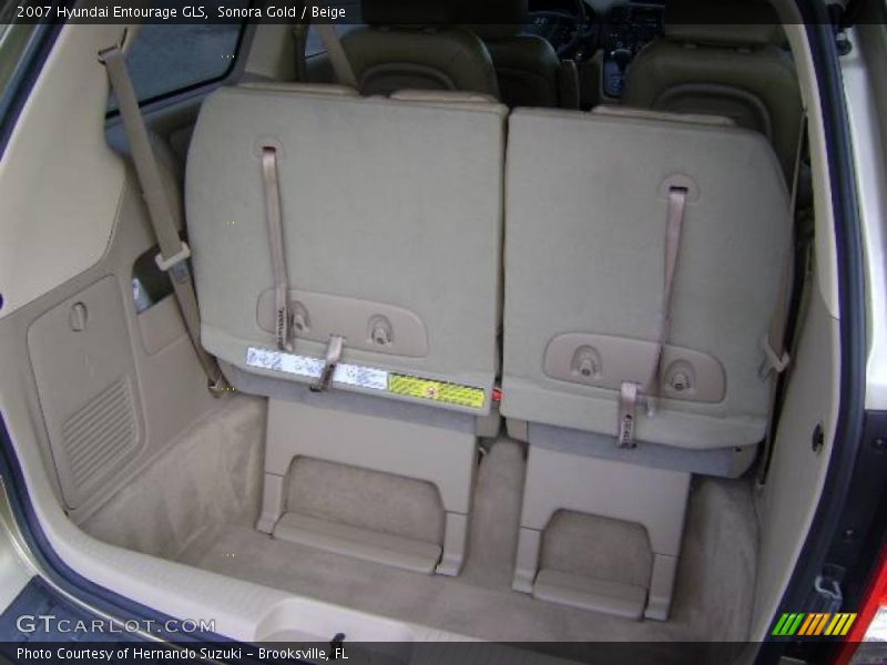 Sonora Gold / Beige 2007 Hyundai Entourage GLS
