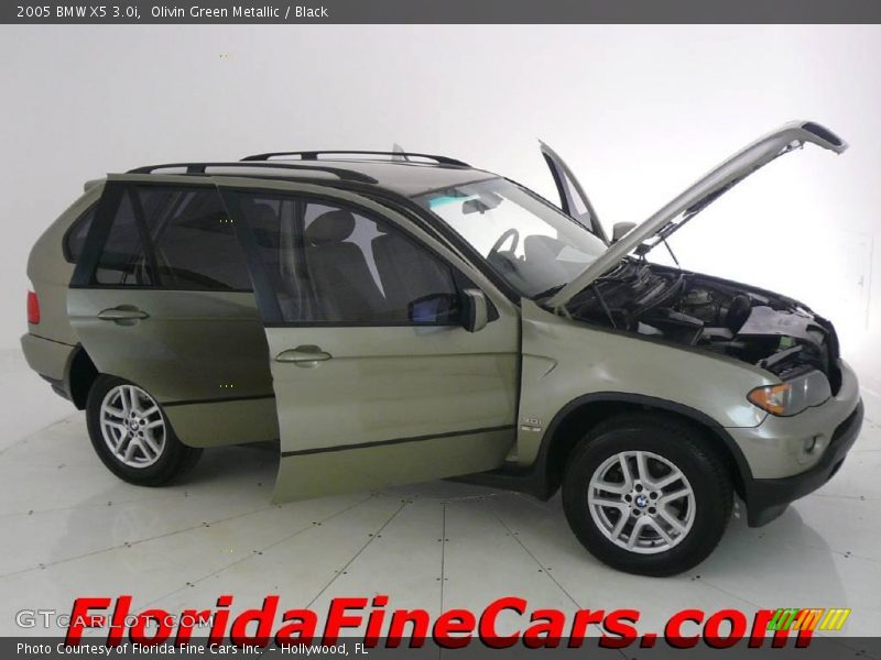 Olivin Green Metallic / Black 2005 BMW X5 3.0i