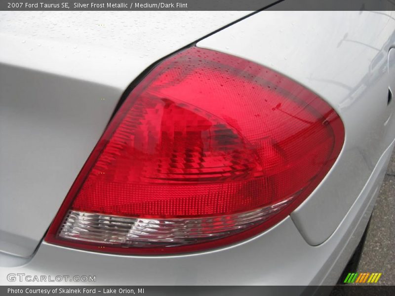 Silver Frost Metallic / Medium/Dark Flint 2007 Ford Taurus SE