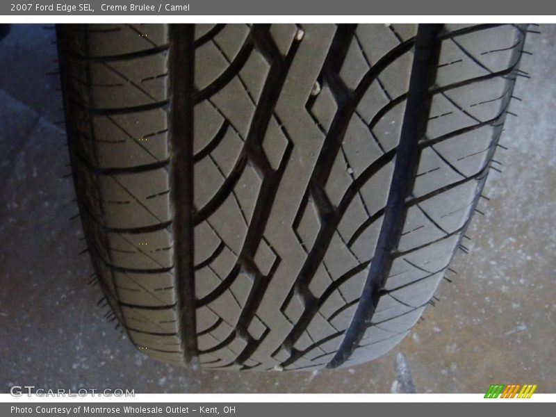 Creme Brulee / Camel 2007 Ford Edge SEL