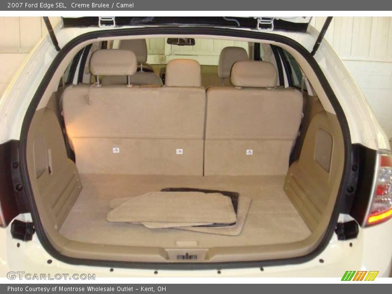 Creme Brulee / Camel 2007 Ford Edge SEL