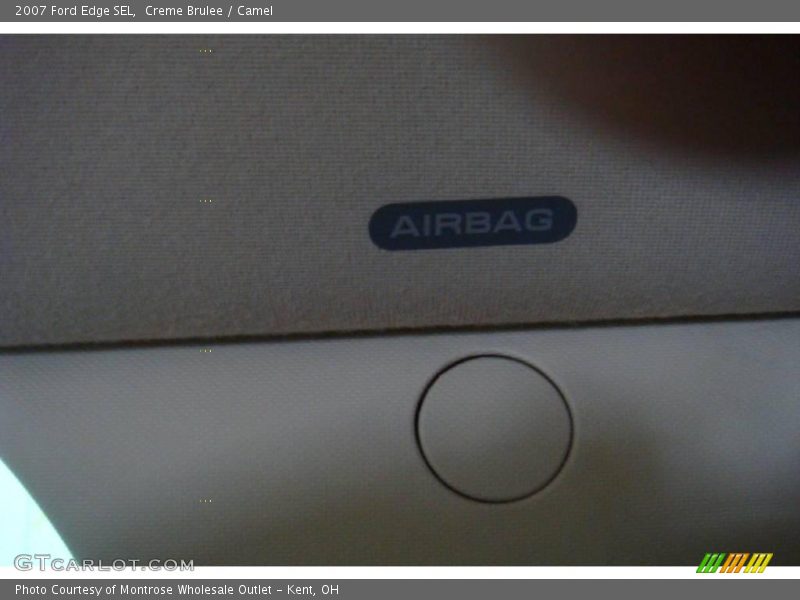 Creme Brulee / Camel 2007 Ford Edge SEL