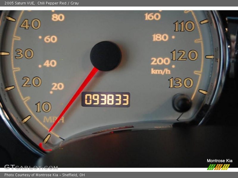 Chili Pepper Red / Gray 2005 Saturn VUE