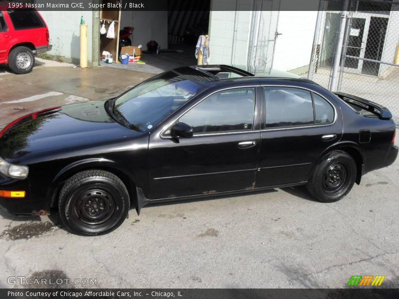 Super Black / Black 1995 Nissan Maxima GXE