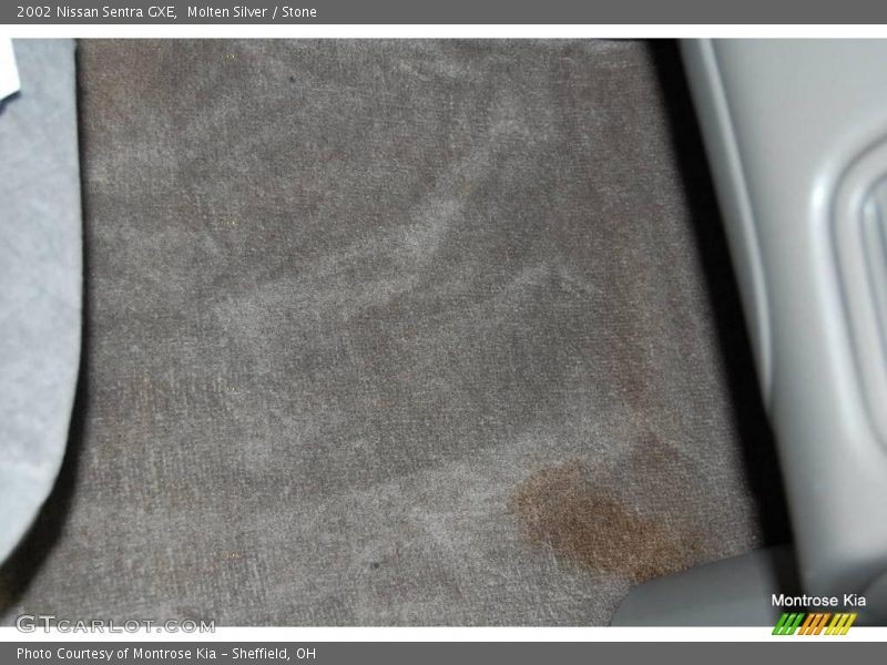 Molten Silver / Stone 2002 Nissan Sentra GXE