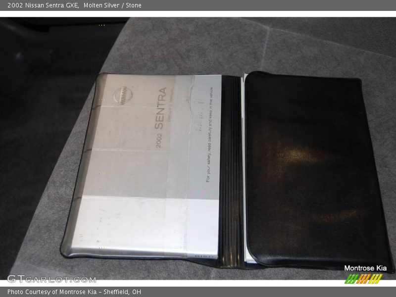 Molten Silver / Stone 2002 Nissan Sentra GXE