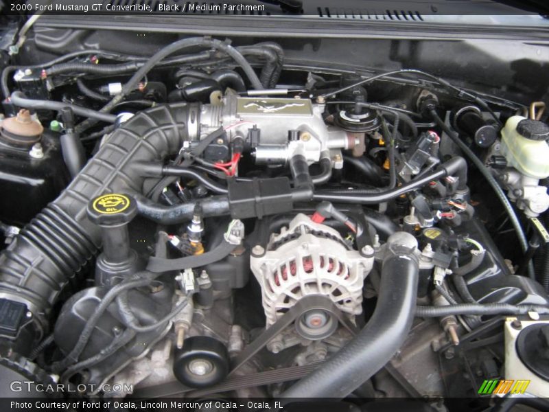 Black / Medium Parchment 2000 Ford Mustang GT Convertible