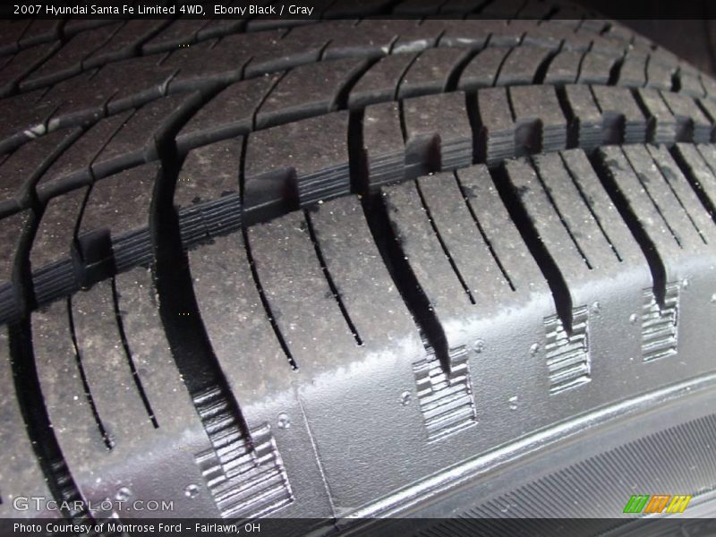 Ebony Black / Gray 2007 Hyundai Santa Fe Limited 4WD