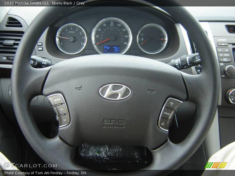 Ebony Black / Gray 2010 Hyundai Sonata GLS