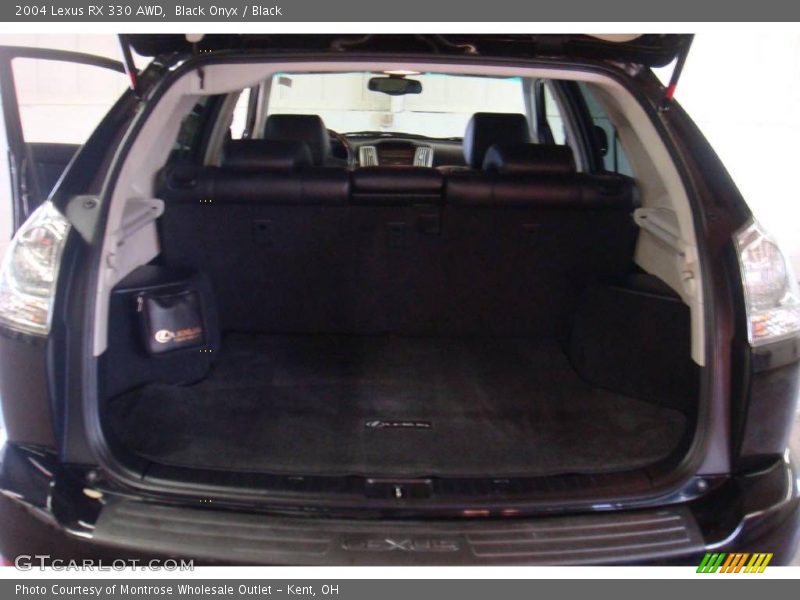 Black Onyx / Black 2004 Lexus RX 330 AWD