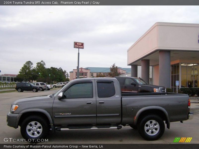 Phantom Gray Pearl / Gray 2004 Toyota Tundra SR5 Access Cab