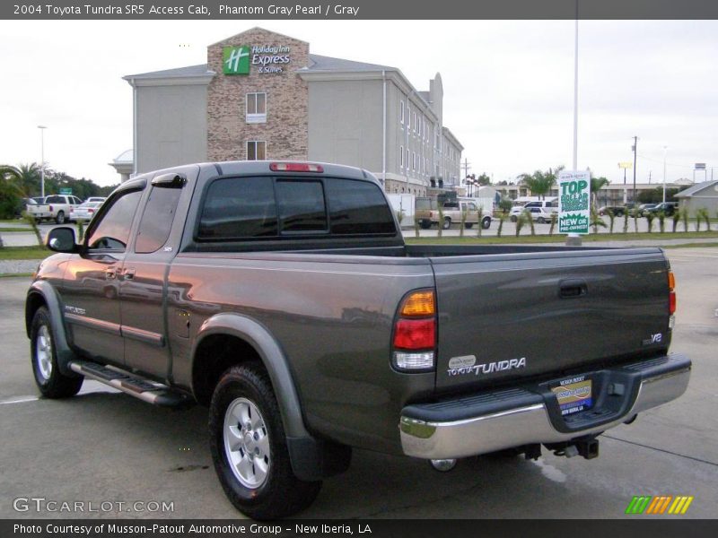 Phantom Gray Pearl / Gray 2004 Toyota Tundra SR5 Access Cab