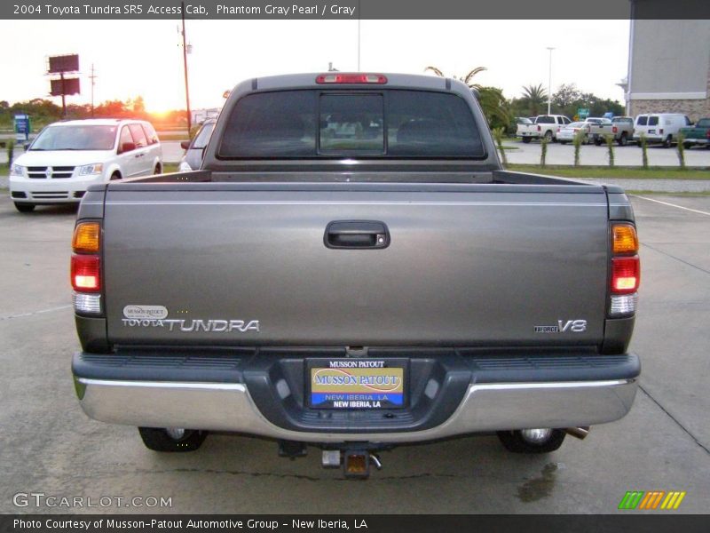 Phantom Gray Pearl / Gray 2004 Toyota Tundra SR5 Access Cab