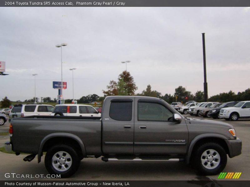 Phantom Gray Pearl / Gray 2004 Toyota Tundra SR5 Access Cab