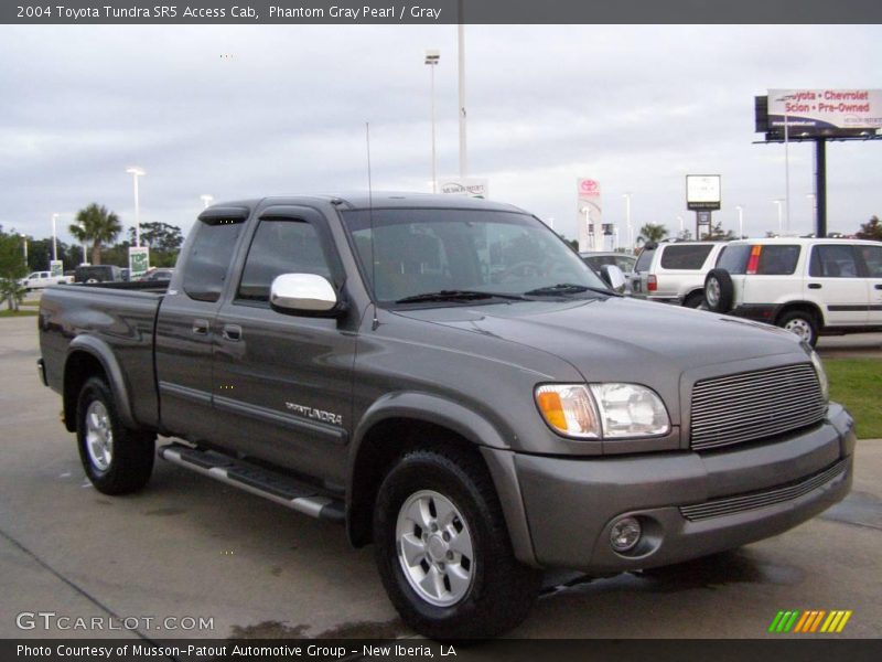 Phantom Gray Pearl / Gray 2004 Toyota Tundra SR5 Access Cab