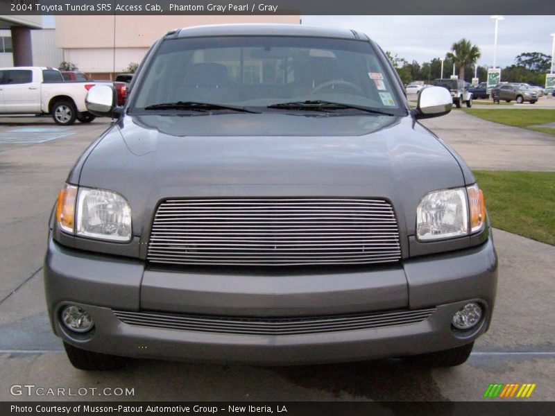 Phantom Gray Pearl / Gray 2004 Toyota Tundra SR5 Access Cab