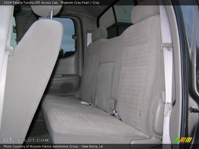 Phantom Gray Pearl / Gray 2004 Toyota Tundra SR5 Access Cab