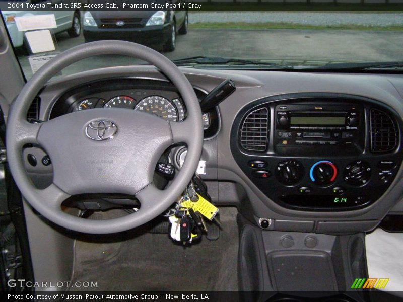 Phantom Gray Pearl / Gray 2004 Toyota Tundra SR5 Access Cab