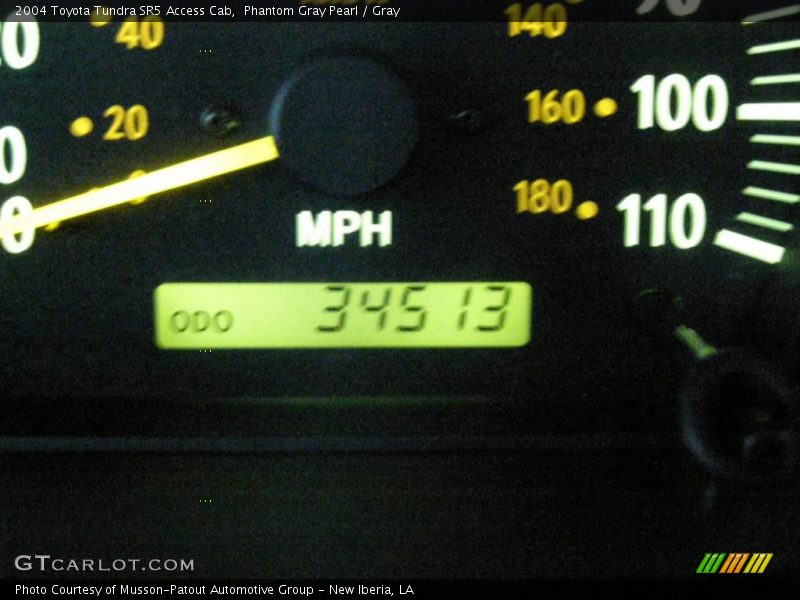 Phantom Gray Pearl / Gray 2004 Toyota Tundra SR5 Access Cab