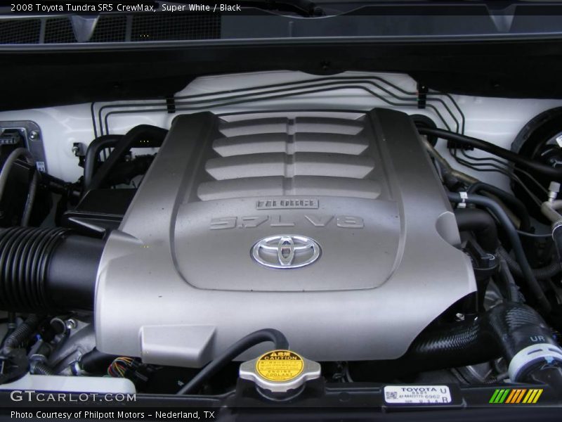 Super White / Black 2008 Toyota Tundra SR5 CrewMax