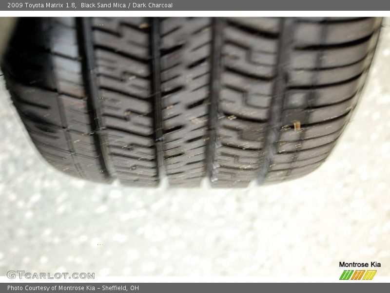 Black Sand Mica / Dark Charcoal 2009 Toyota Matrix 1.8