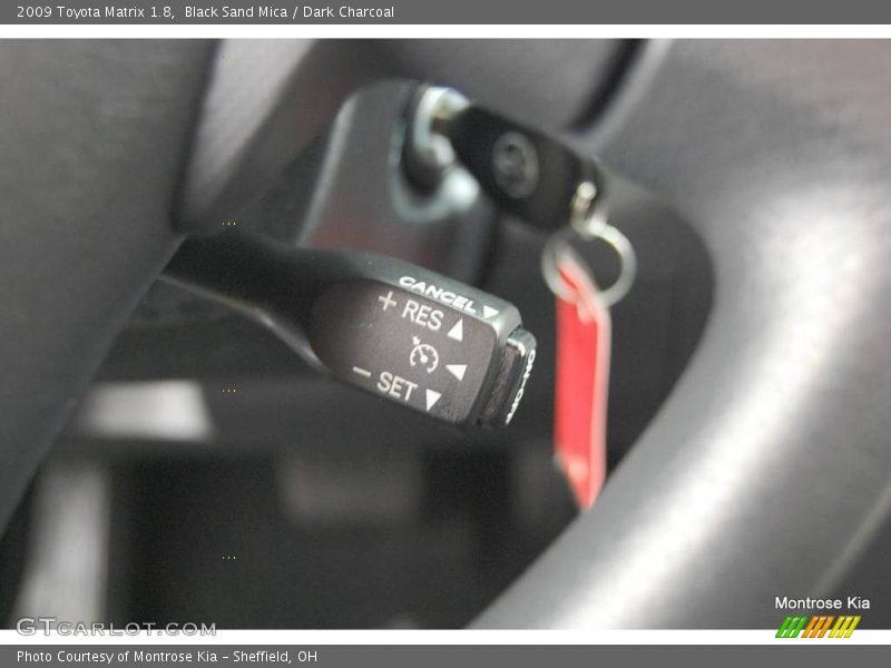Black Sand Mica / Dark Charcoal 2009 Toyota Matrix 1.8