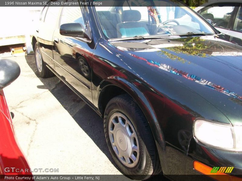 Deep Evergreen Pearl / Beige 1996 Nissan Maxima SE