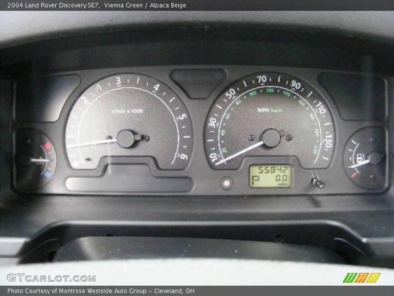 Vienna Green / Alpaca Beige 2004 Land Rover Discovery SE7