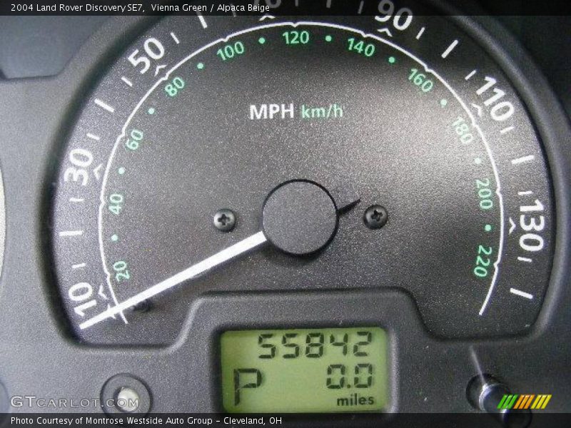 Vienna Green / Alpaca Beige 2004 Land Rover Discovery SE7