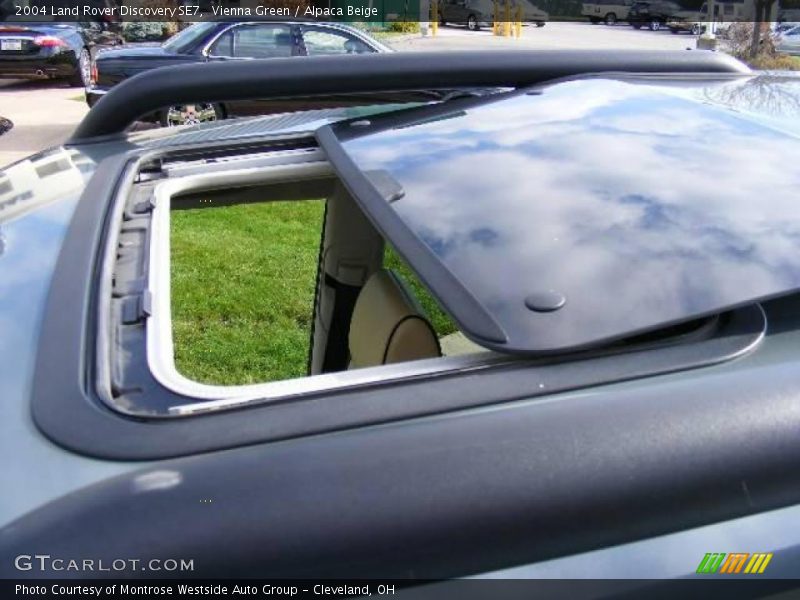 Vienna Green / Alpaca Beige 2004 Land Rover Discovery SE7