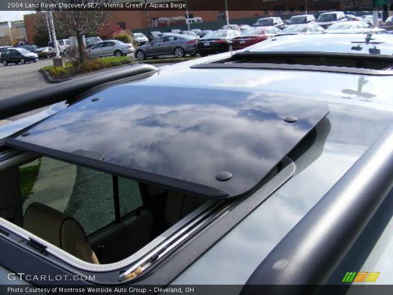 Vienna Green / Alpaca Beige 2004 Land Rover Discovery SE7