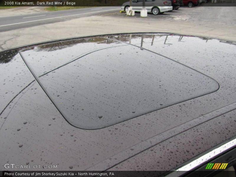 Dark Red Wine / Beige 2008 Kia Amanti