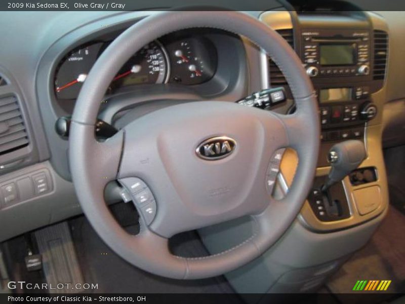 Olive Gray / Gray 2009 Kia Sedona EX