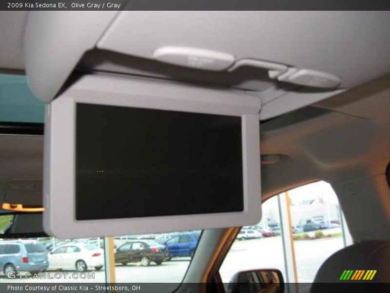 Olive Gray / Gray 2009 Kia Sedona EX