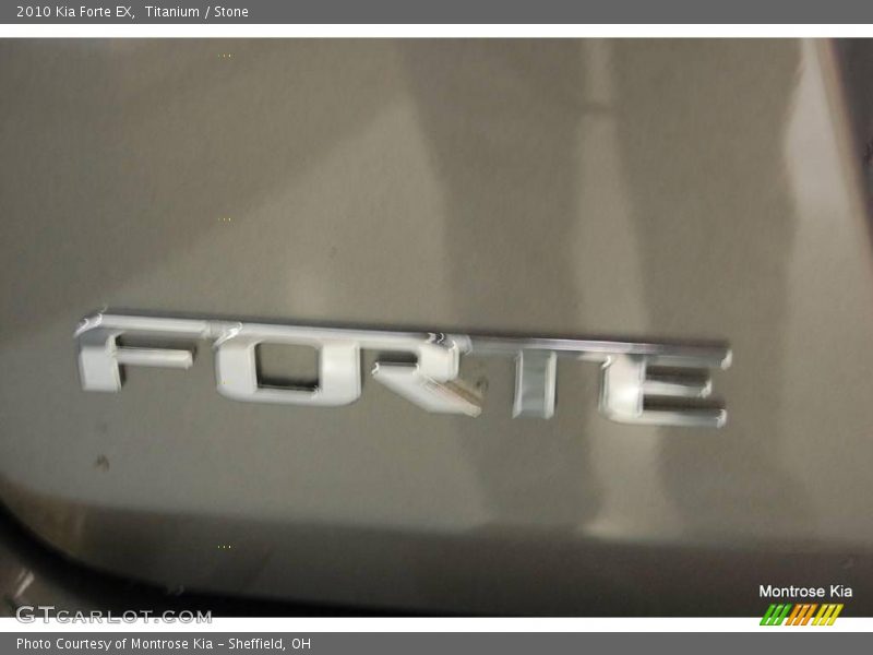Titanium / Stone 2010 Kia Forte EX