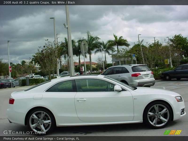Ibis White / Black 2008 Audi A5 3.2 quattro Coupe